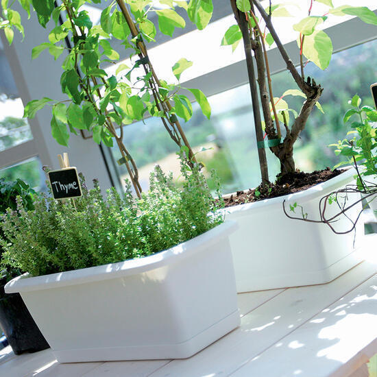 Jardinera respana con soporte de plastico en color blanco 78,6 (largo) x 18,4 (ancho) x 14