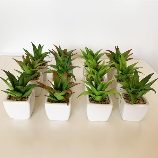 Pack 12 cactus cereus surtidos artificiales con maceta de ceramica