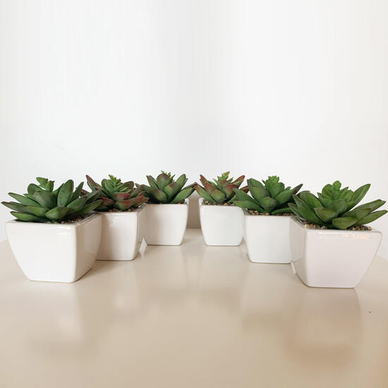 Pack 6 cactus crepusculo surtidos artificiales con maceta de ceramica